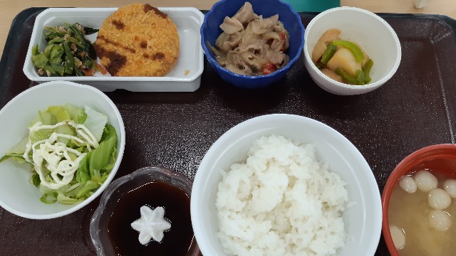f:id:ganbarubi:20210611121540j:image