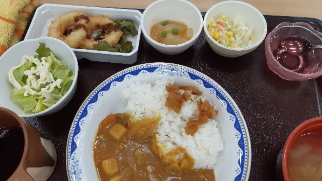 f:id:ganbarubi:20210709122225j:image