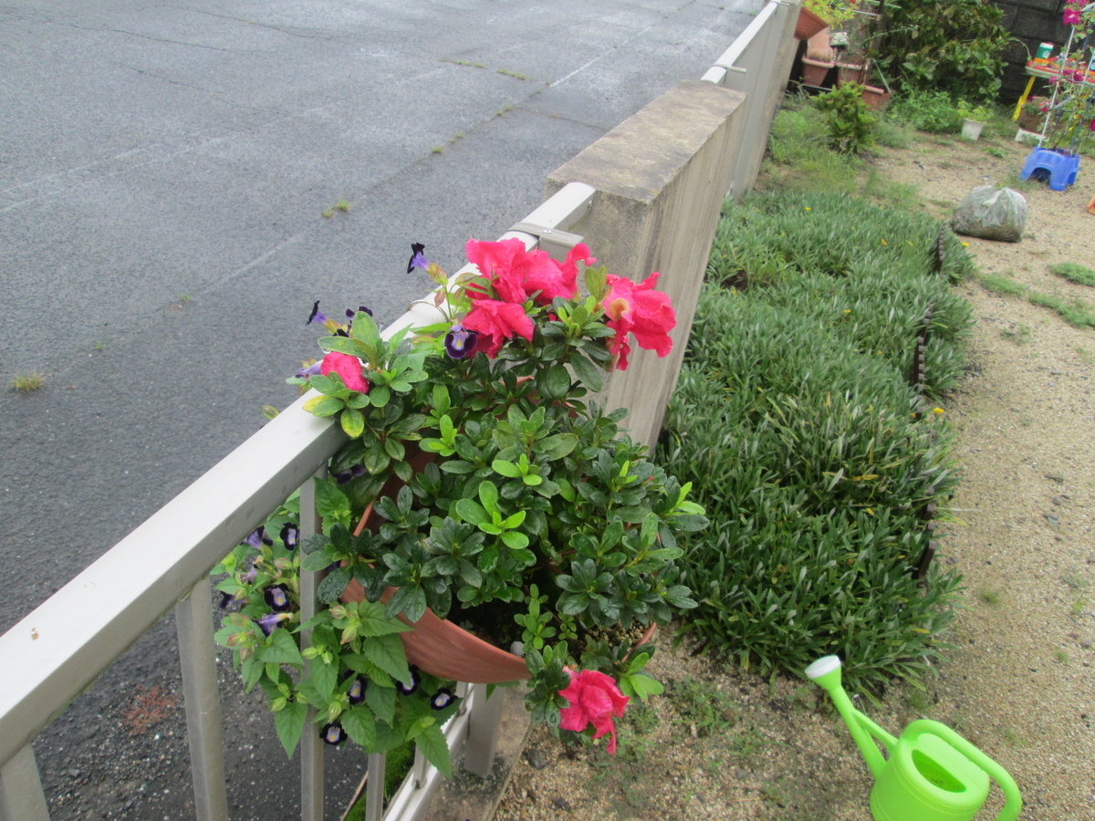 f:id:ganbausa:20190829182550j:plain
