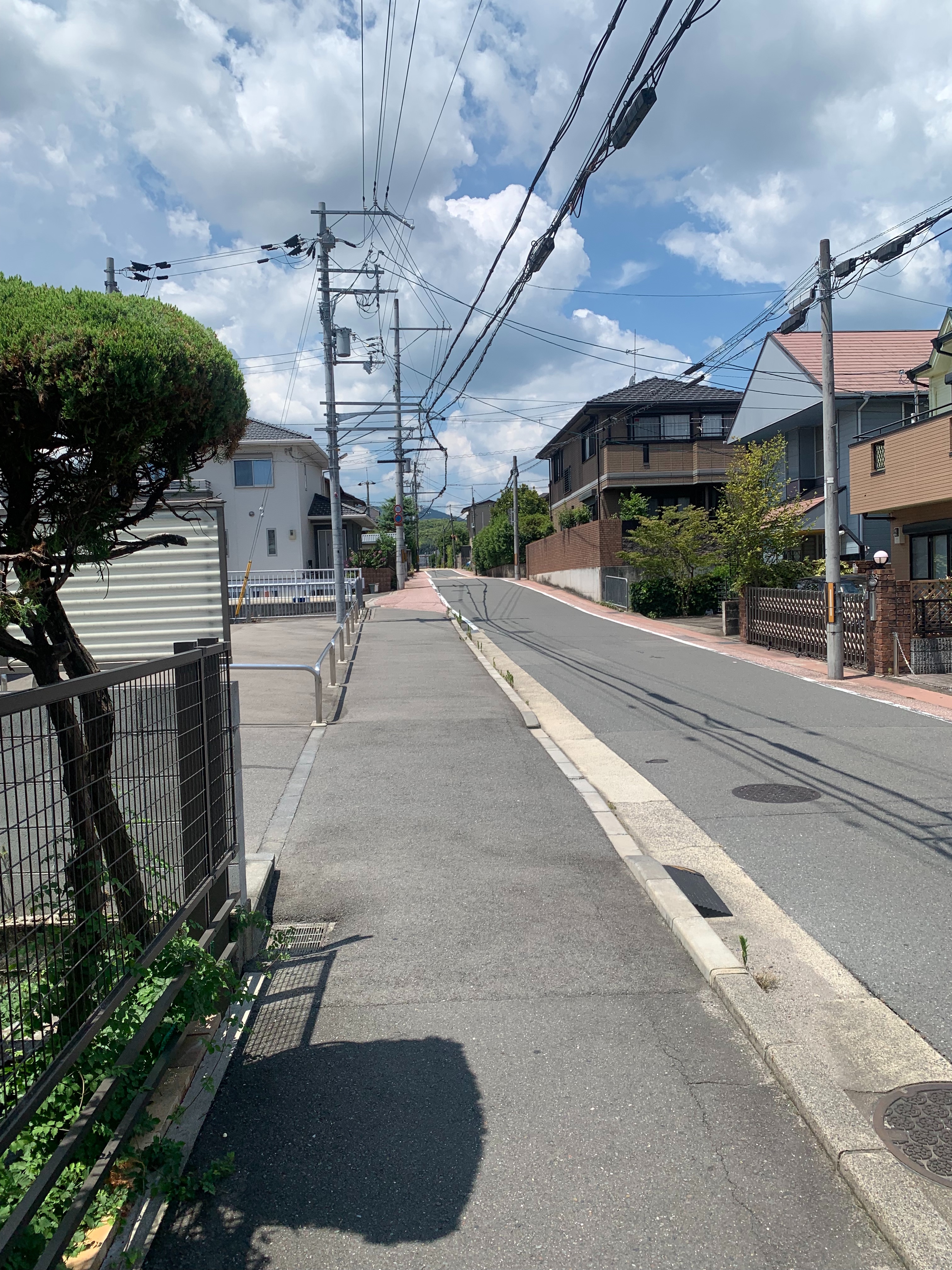 f:id:gander-bndrmnd:20230729124238j:image f:id:gander-bndrmnd:20230729124238j:image