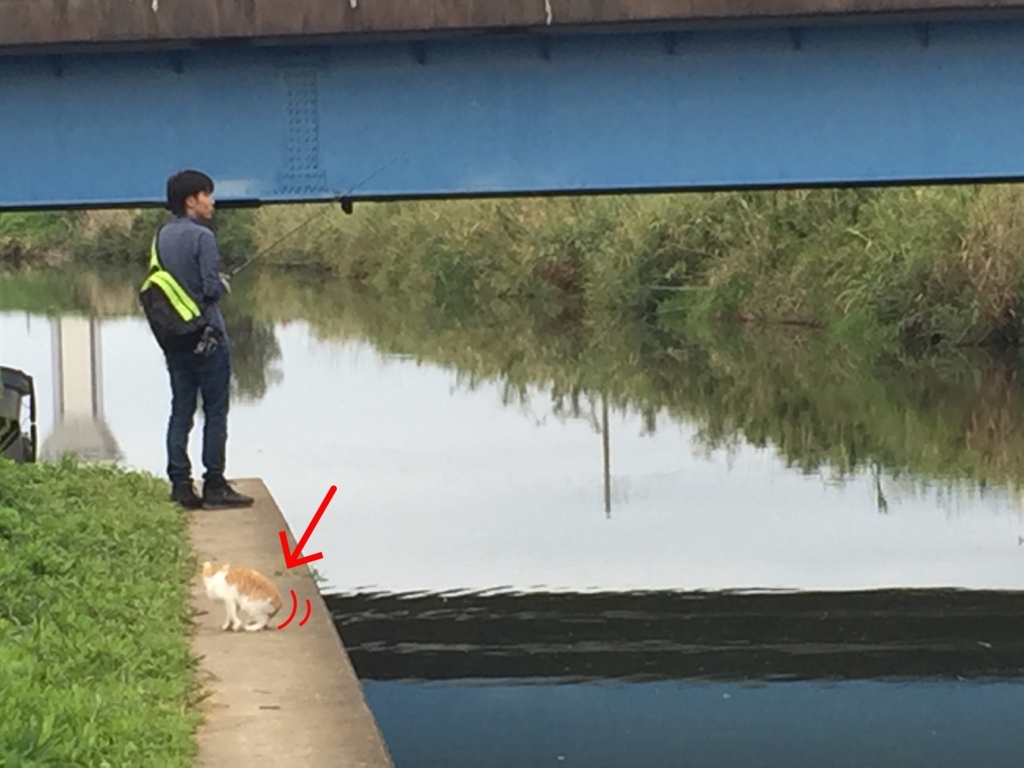 f:id:ganesakun:20170920164104j:plain