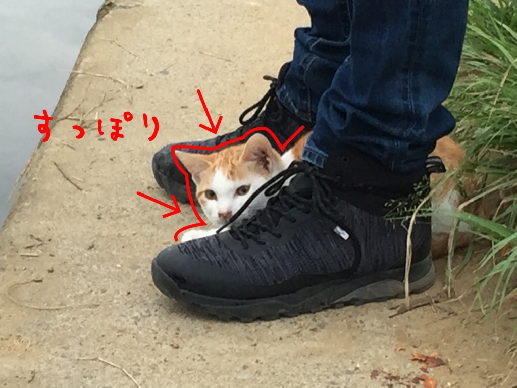 f:id:ganesakun:20170920164238j:plain