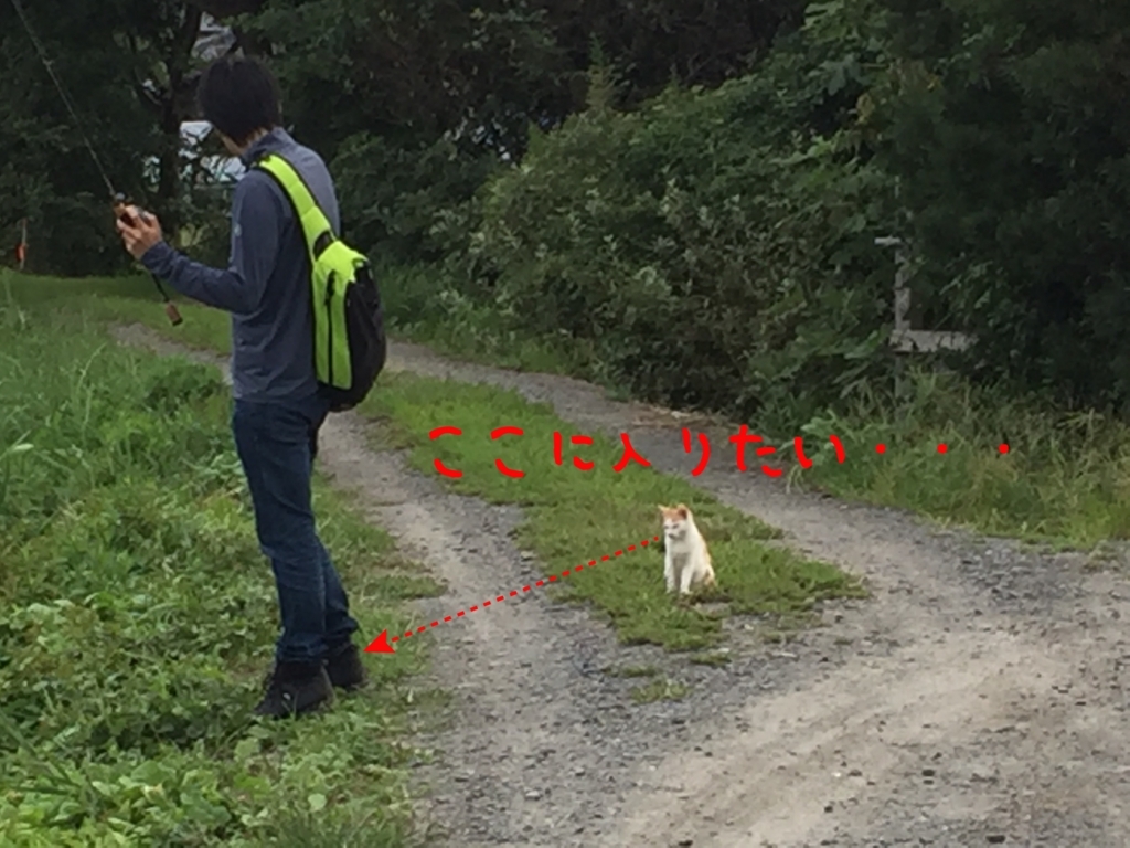 f:id:ganesakun:20170920164310j:plain