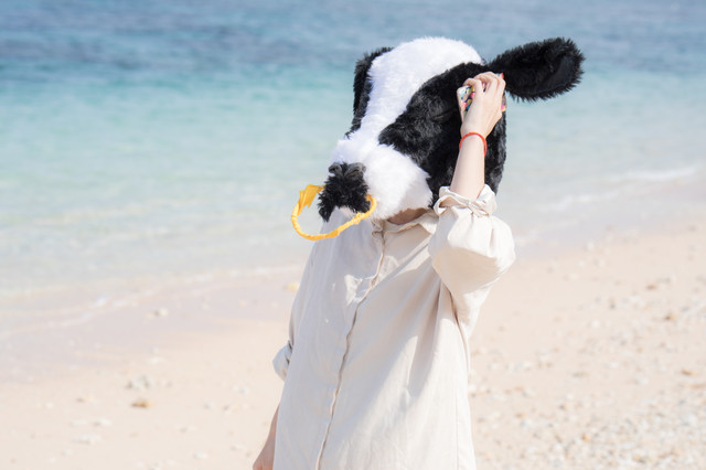 f:id:ganesakun:20170920170513j:plain