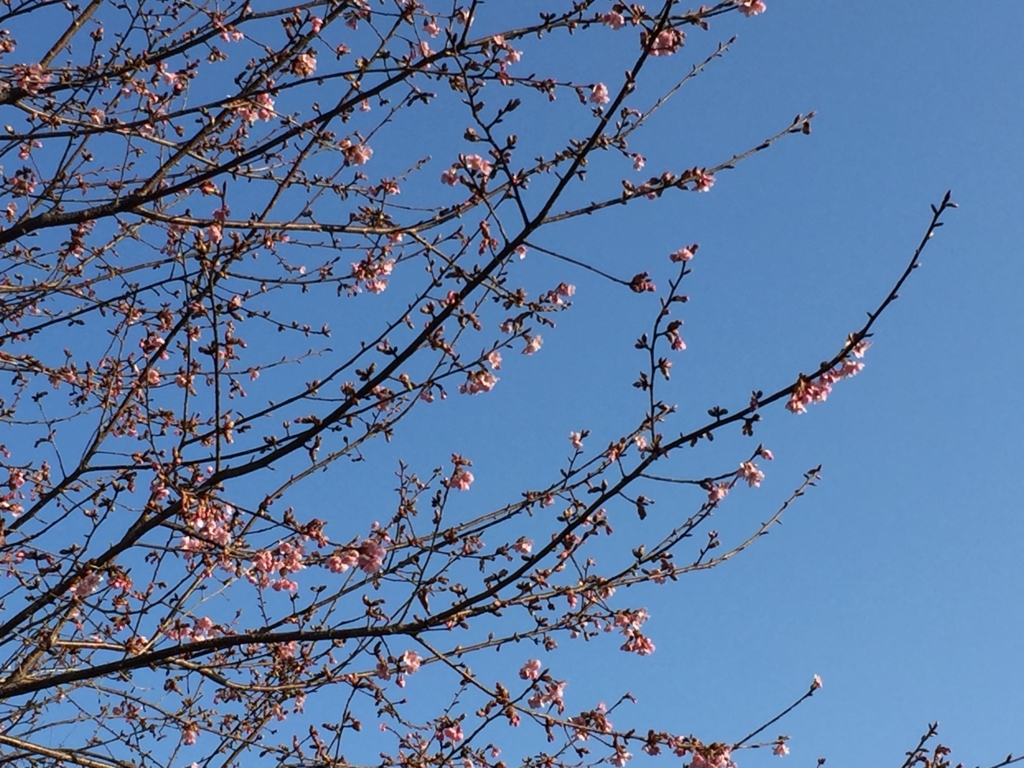 f:id:ganesakun:20180306131702j:plain f:id:ganesakun:20180306131702j:plain