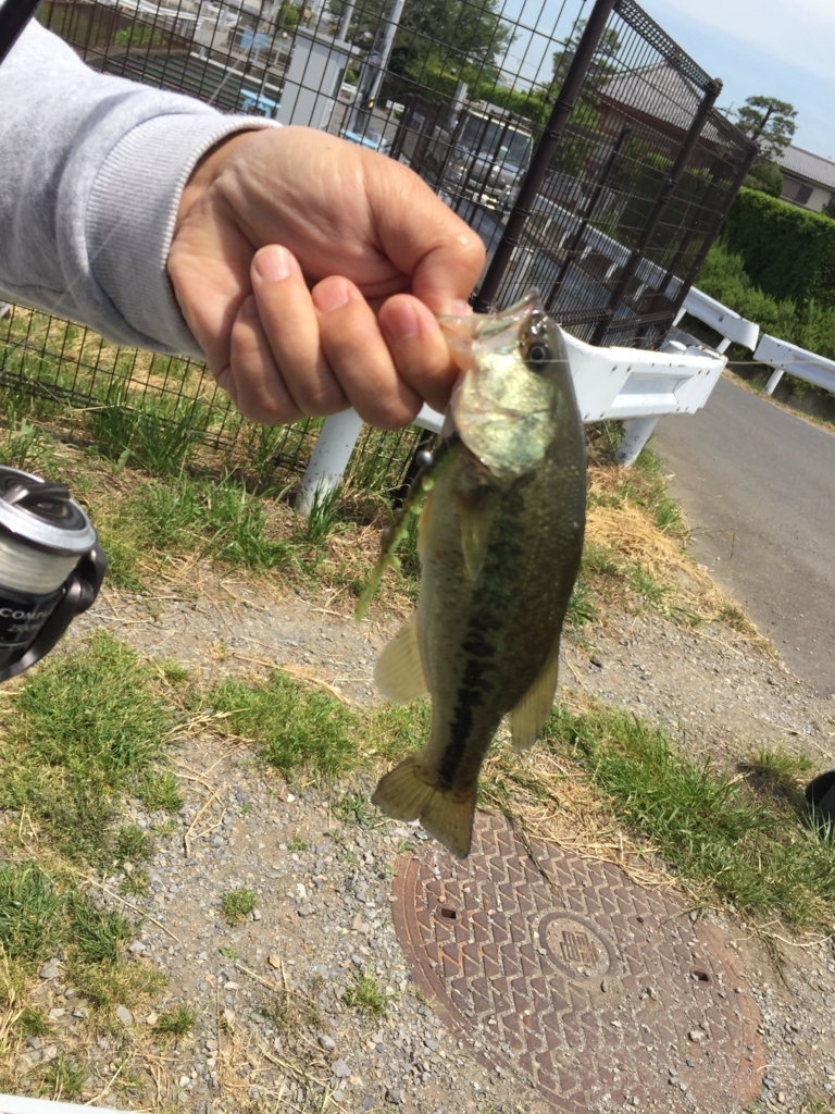 f:id:ganesakun:20180525214014j:plain f:id:ganesakun:20180525214014j:plain