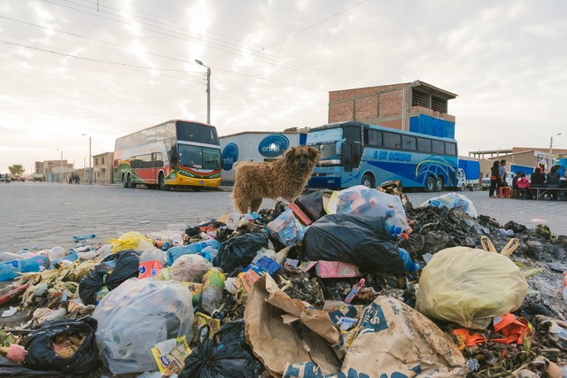 f:id:ganesakun:20180528224915j:plain f:id:ganesakun:20180528224915j:plain