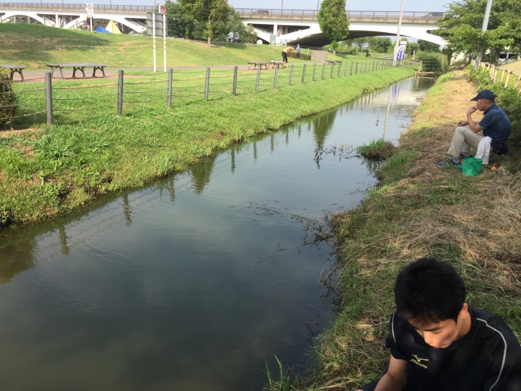 f:id:ganesakun:20180719133733j:plain