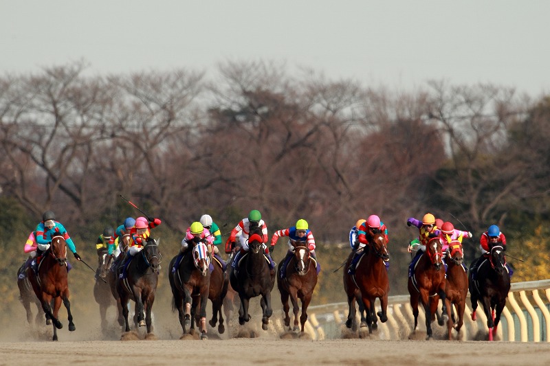 f:id:gangankeiba:20160219093807j:plain