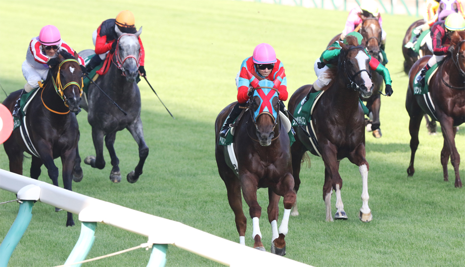 f:id:gangankeiba:20160729220115j:plain