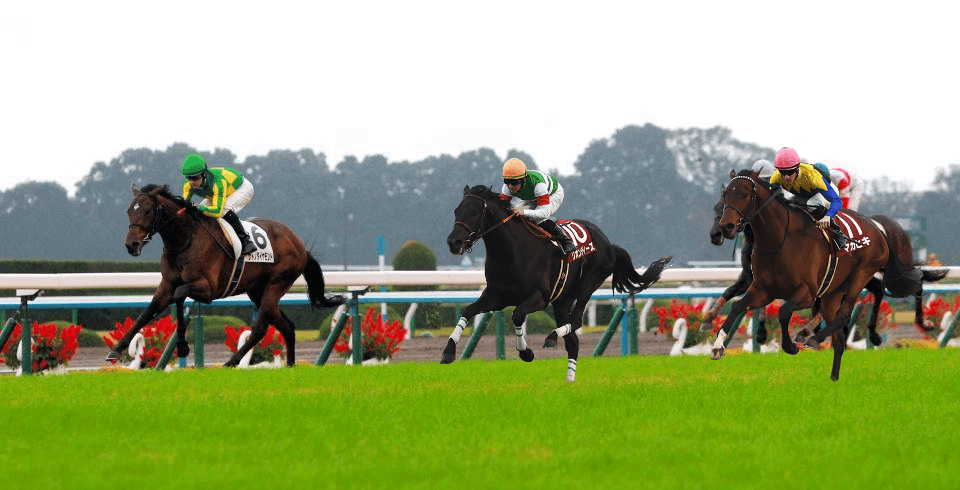 f:id:gangankeiba:20160828082136p:plain f:id:gangankeiba:20160828082136p:plain