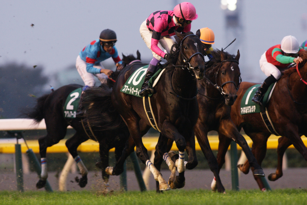 f:id:gangankeiba:20161115165727j:plain