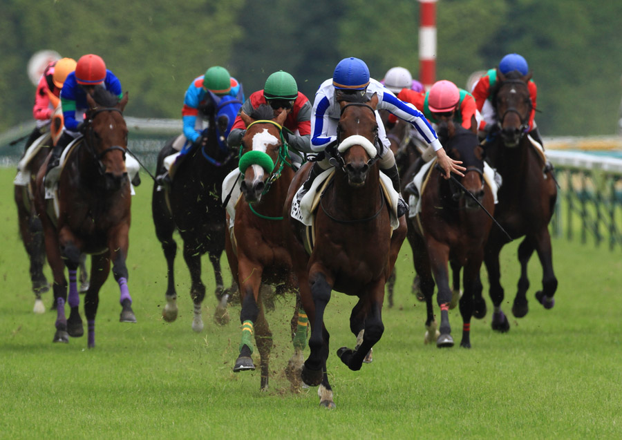 f:id:gangankeiba:20161228172615j:plain