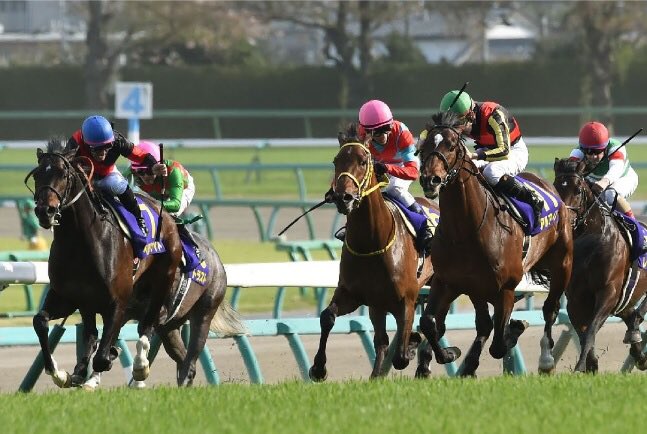 f:id:gangankeiba:20170417112216j:plain f:id:gangankeiba:20170417112216j:plain