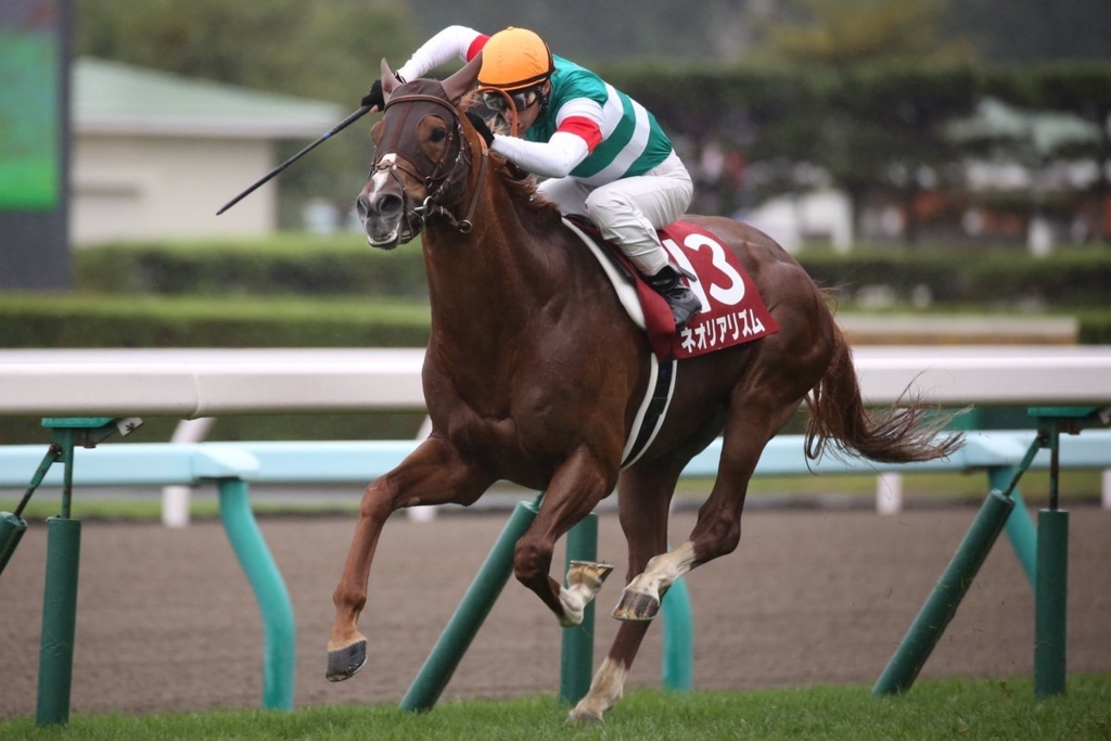 f:id:gangankeiba:20170817084947j:plain f:id:gangankeiba:20170817084947j:plain