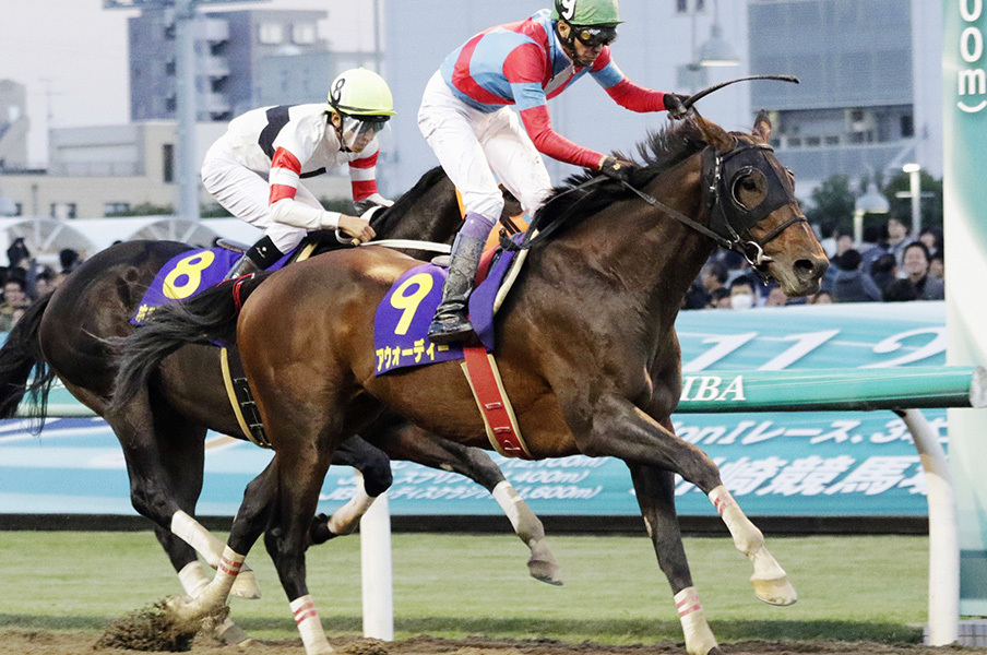Jbcクラシック 2017 枠順 出走馬 と予想オッズとデータ分析とかまとめ 三連複で万馬券を取るには三連複大百科
