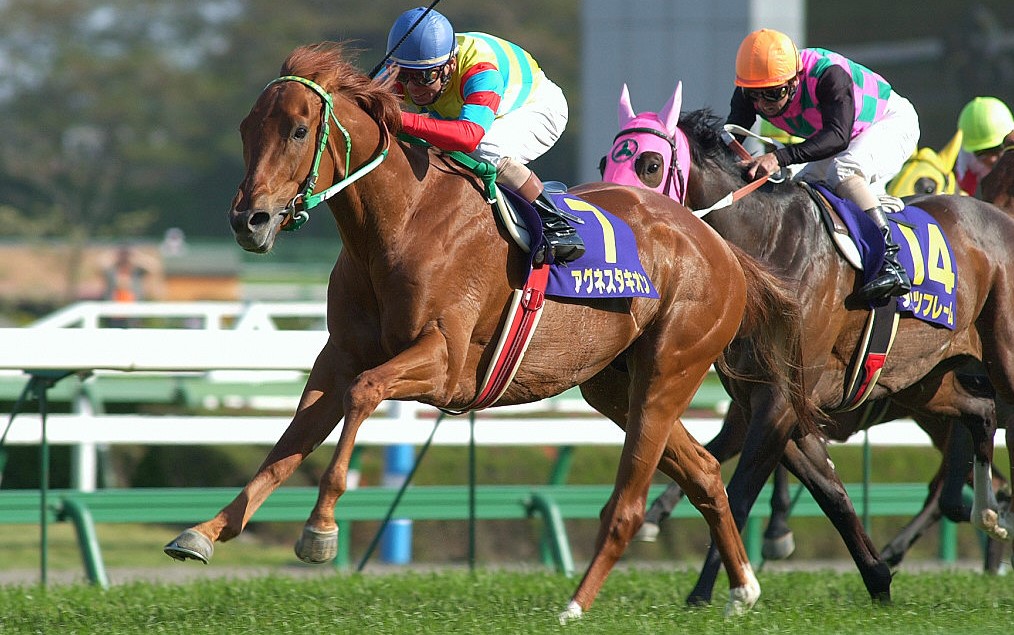 f:id:gangankeiba:20180228011807j:plain f:id:gangankeiba:20180228011807j:plain