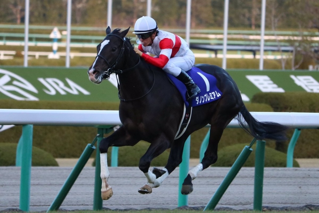 f:id:gangankeiba:20180228011932j:plain f:id:gangankeiba:20180228011932j:plain