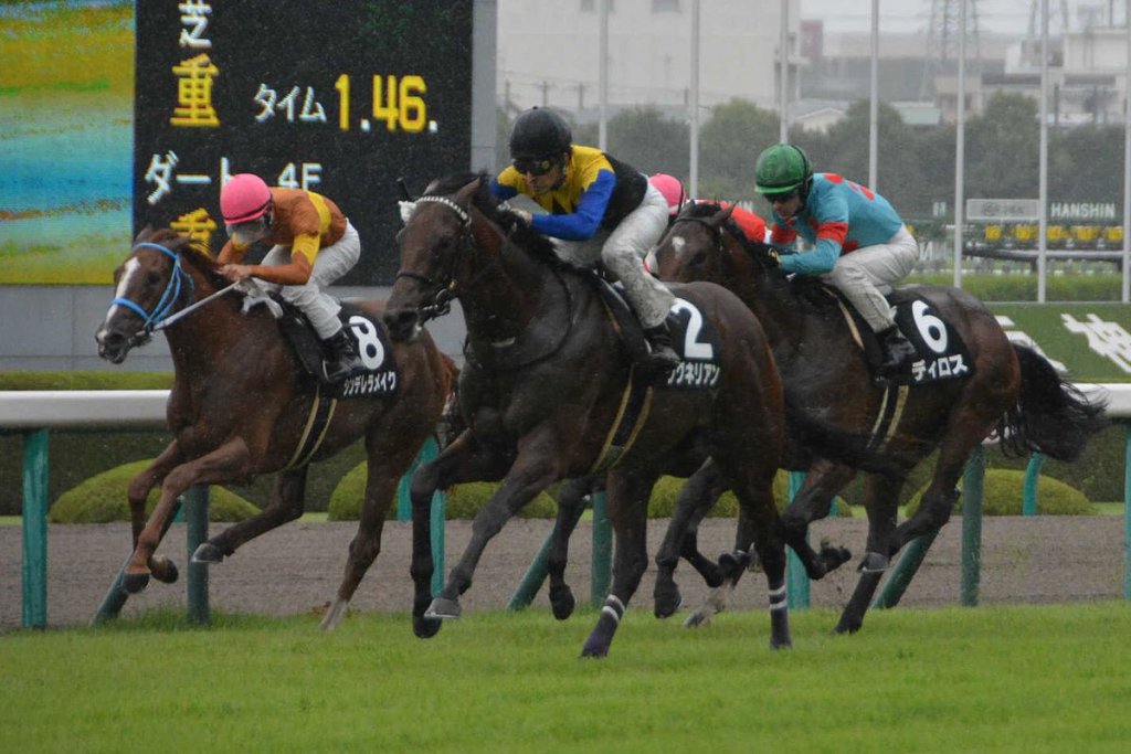 f:id:gangankeiba:20180228012243j:plain f:id:gangankeiba:20180228012243j:plain