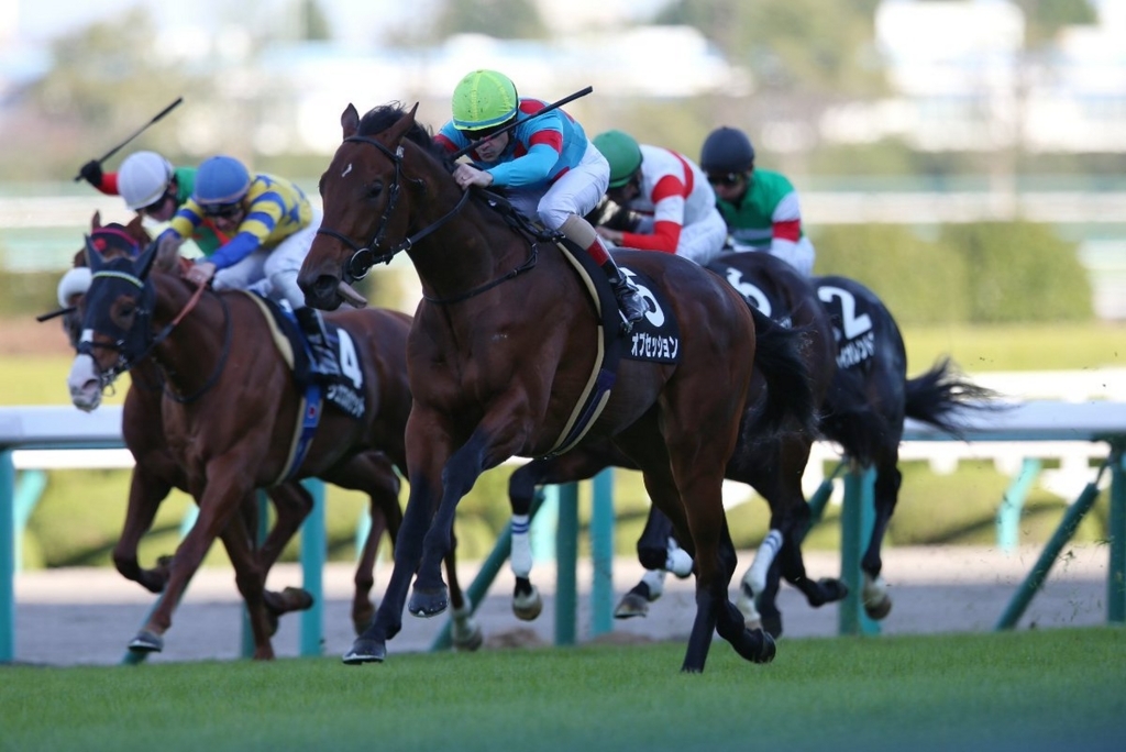 f:id:gangankeiba:20180228012355j:plain f:id:gangankeiba:20180228012355j:plain