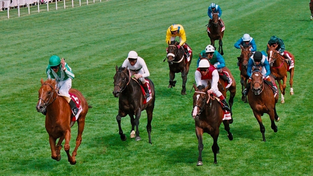 f:id:gangankeiba:20180301083321j:plain