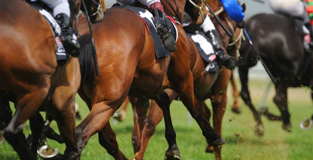 f:id:gangankeiba:20190221145956j:plain