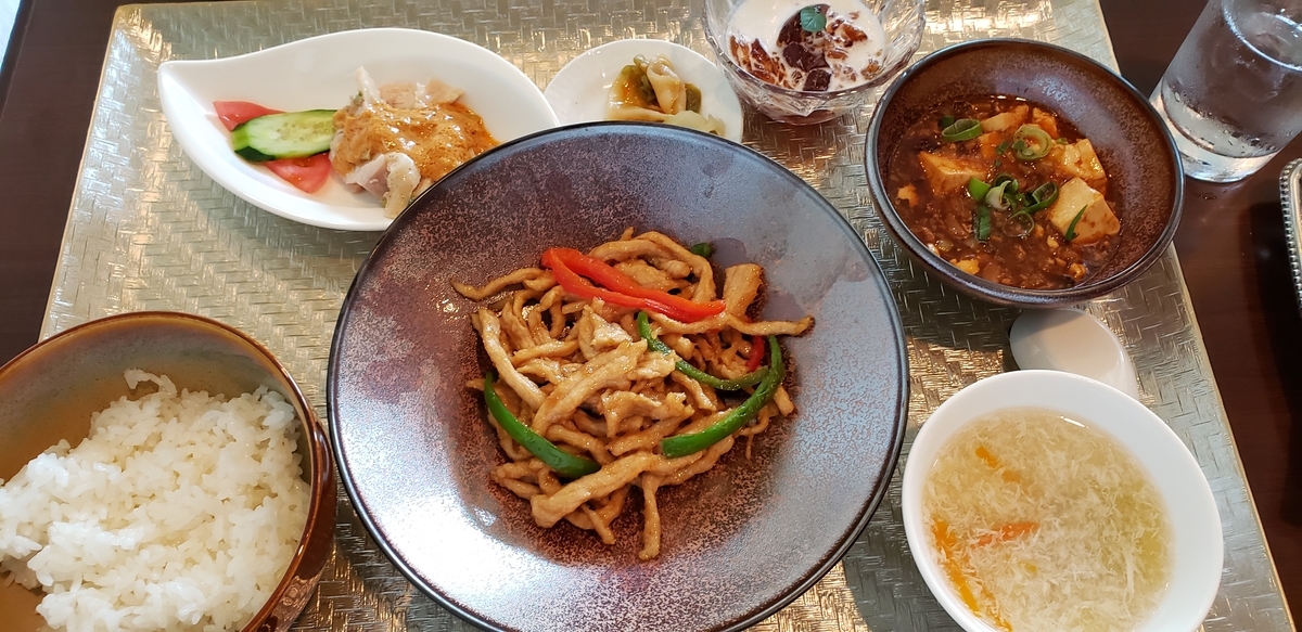 f:id:gangannikki:20190621160056j:plain