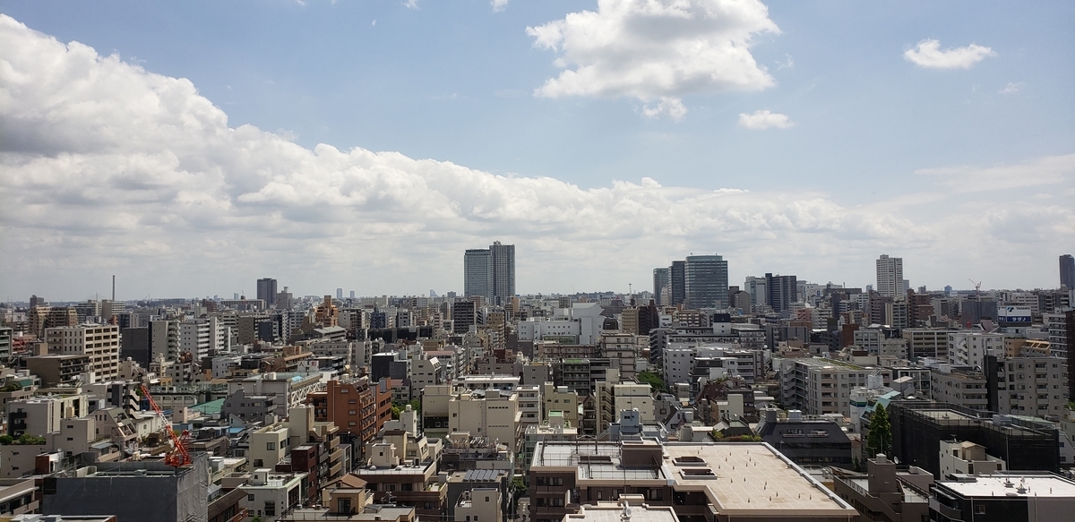 f:id:gangannikki:20190621160111j:plain