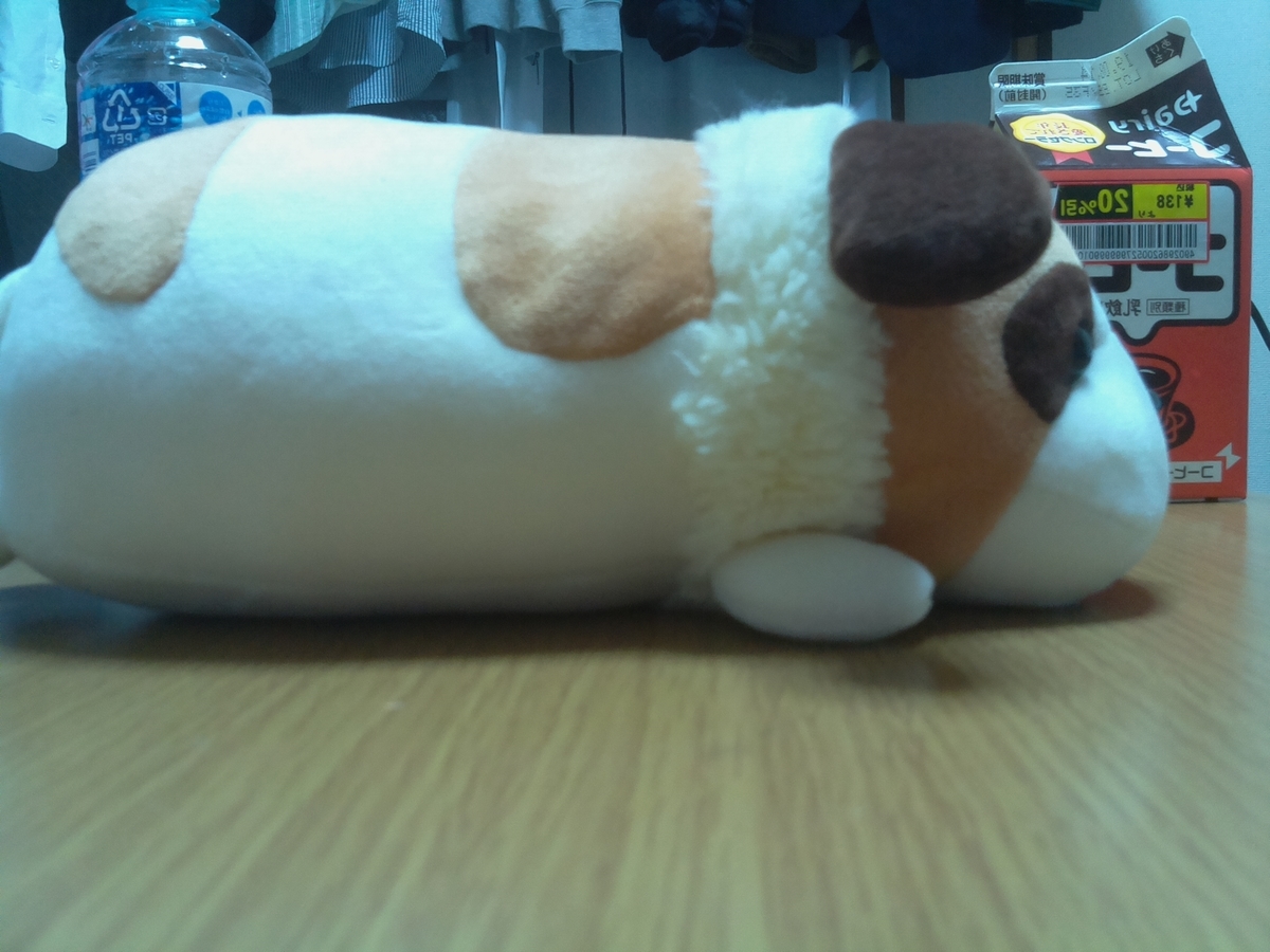 f:id:gangannikki:20190816035915j:plain f:id:gangannikki:20190816035915j:plain