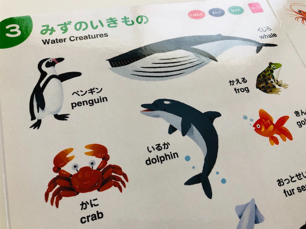 f:id:ganguroegg:20190524075743j:image