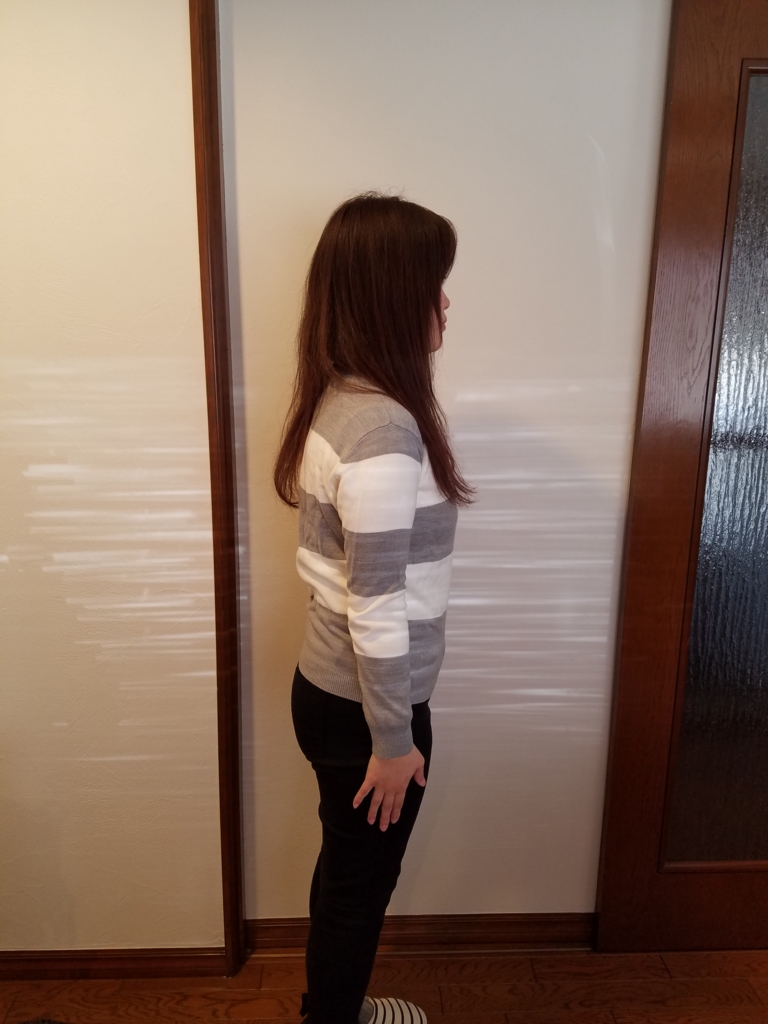 f:id:gankin:20161212134432j:plain