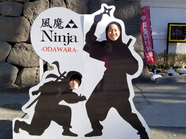 f:id:gankin:20190129214017j:image f:id:gankin:20190129214017j:image