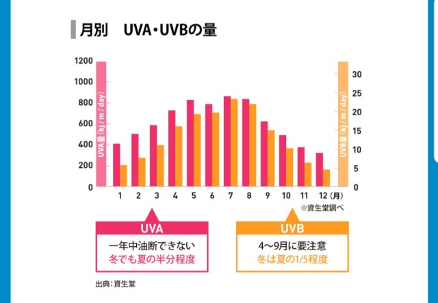 f:id:gankin:20190525182128j:image