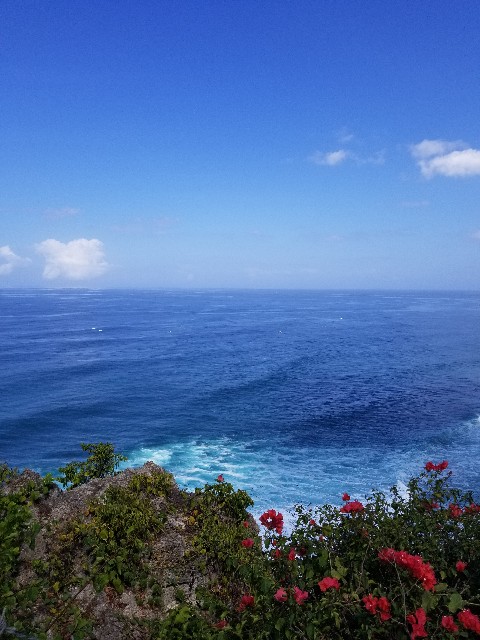 f:id:gankin:20191110215836j:image