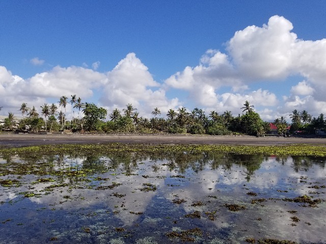 f:id:gankin:20191112100224j:image