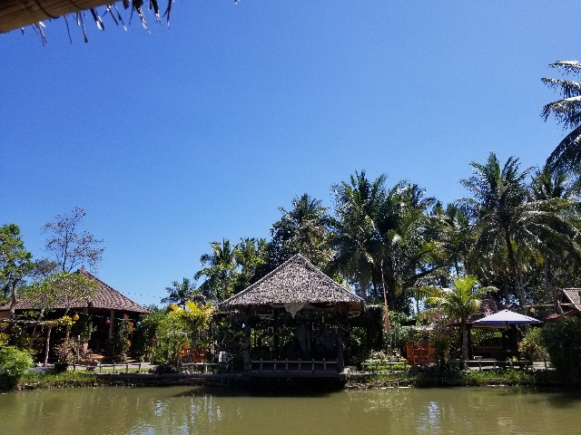 f:id:gankin:20191112101107j:image