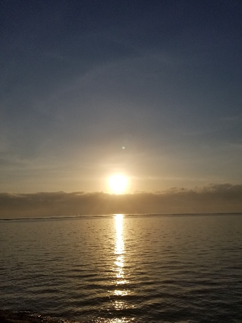 f:id:gankin:20191123191140j:image f:id:gankin:20191123191140j:image