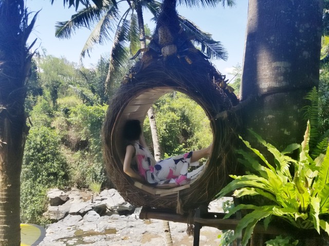 f:id:gankin:20191124130952j:image f:id:gankin:20191124130952j:image