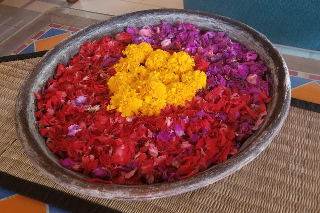 f:id:gankin:20191124142152j:image f:id:gankin:20191124142152j:image