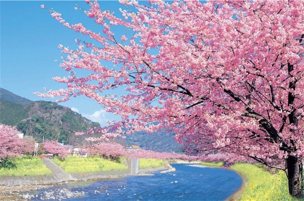f:id:ganman123:20210228122304j:image