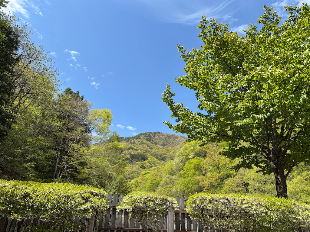 f:id:ganmo-z:20260421110845j:image