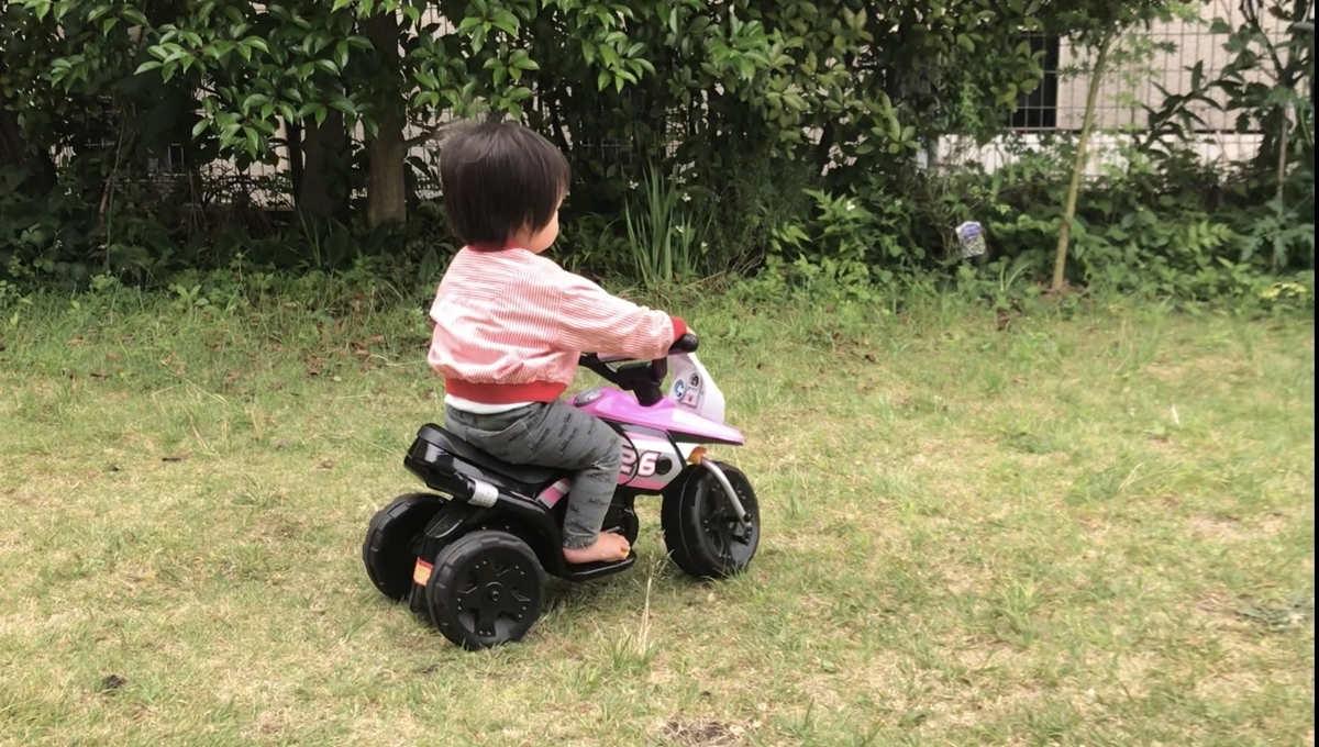 ２歳息子と４歳娘のお庭遊びを充実させてくれる 乗って遊べる車とバイクの電動おもちゃ 梅花を愛でる心で子育てを
