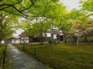 瀧 大徳寺黄梅院・小林太玄住職 筆 - お茶を身近に楽しむ