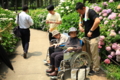 すこし休憩　三室戸寺アジサイ園