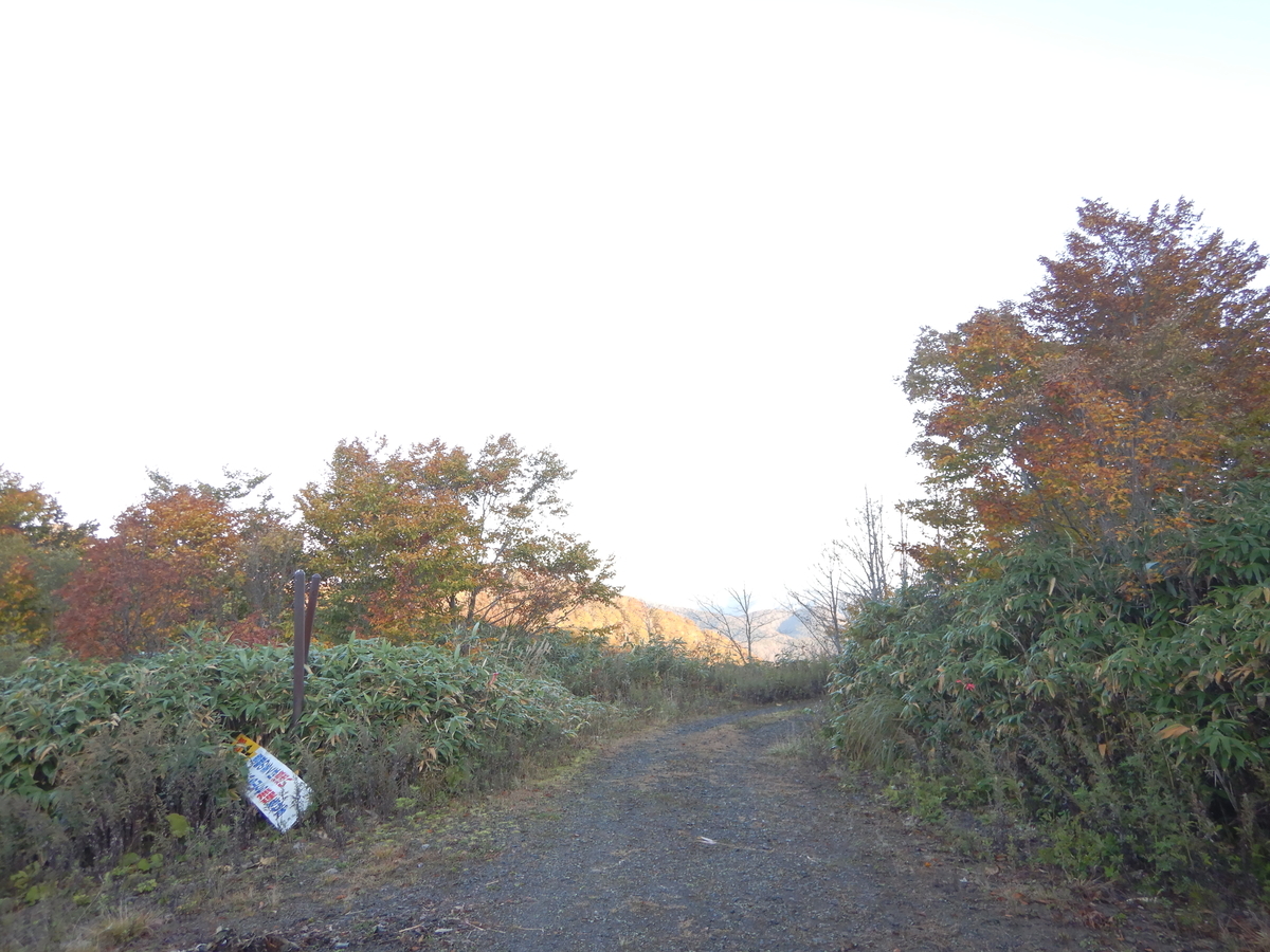 f:id:gansudegansu:20201108175501j:plain f:id:gansudegansu:20201108175501j:plain