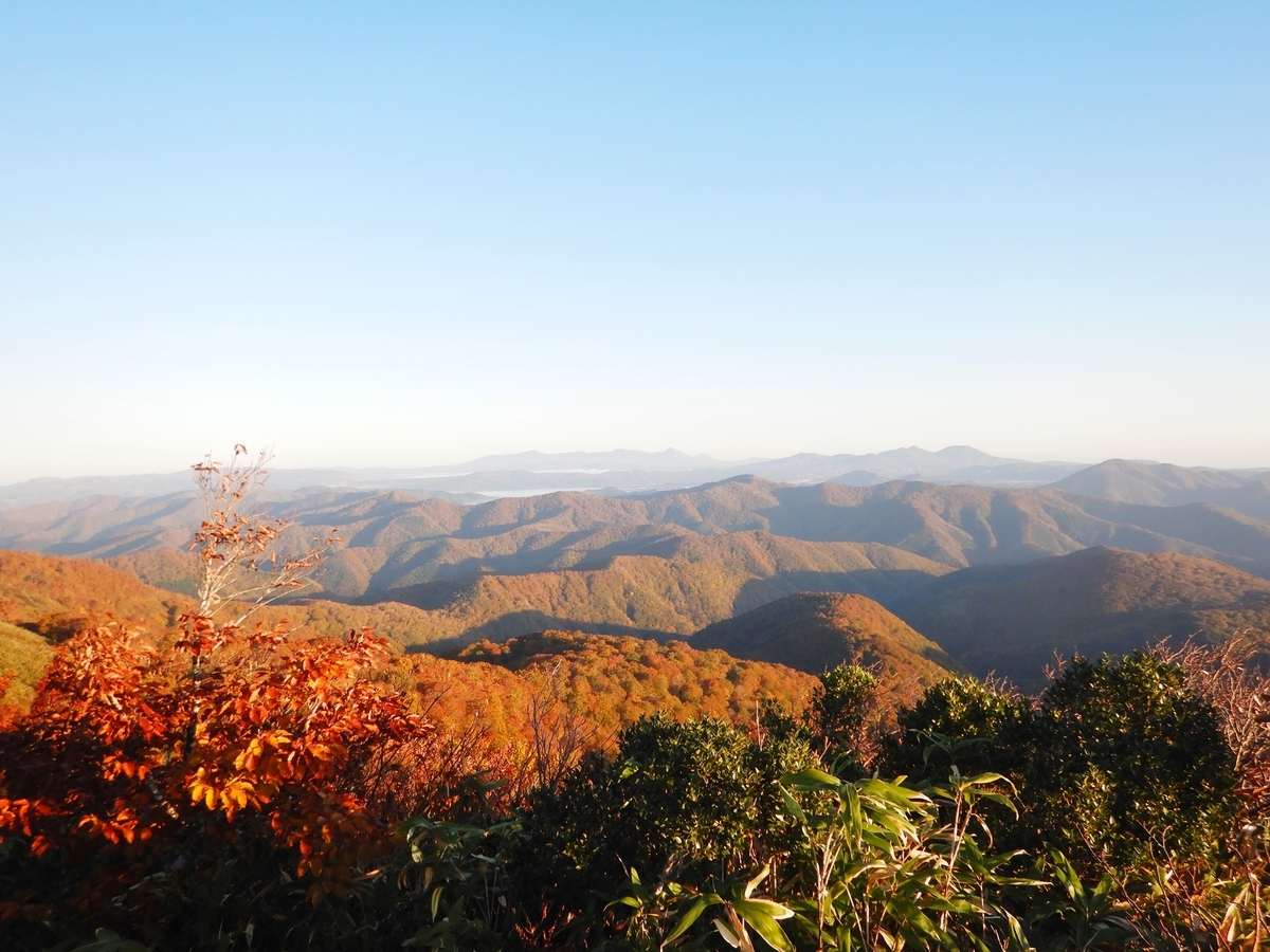 f:id:gansudegansu:20201108185437j:plain f:id:gansudegansu:20201108185437j:plain