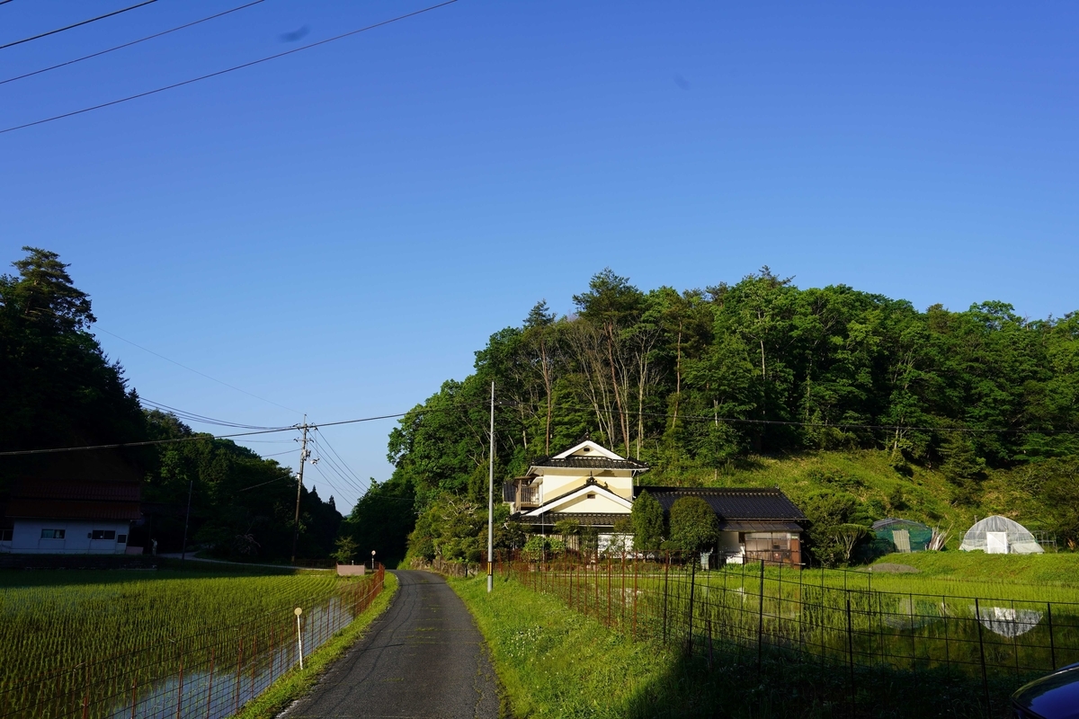 f:id:gansudegansu:20210527131155j:plain