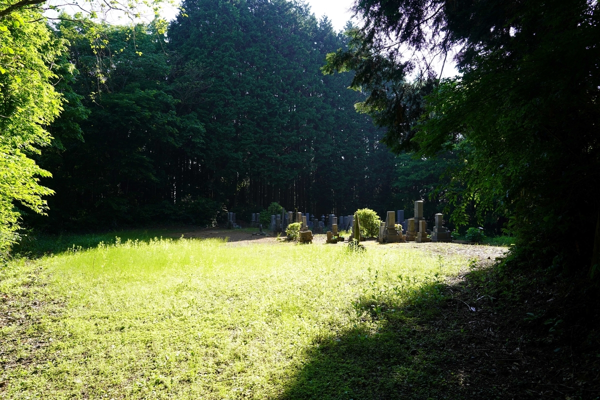 f:id:gansudegansu:20210527134203j:plain