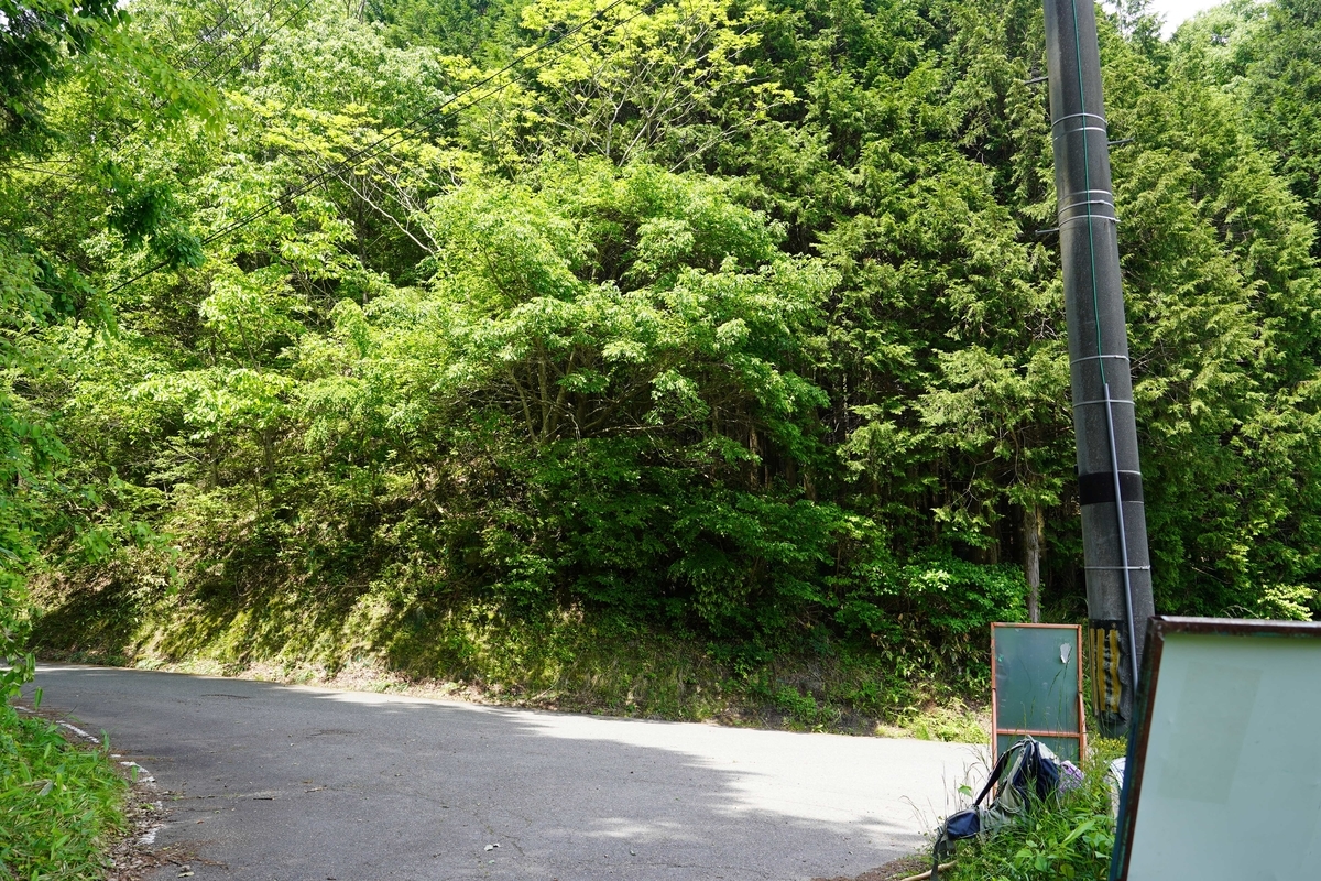 f:id:gansudegansu:20210527135046j:plain