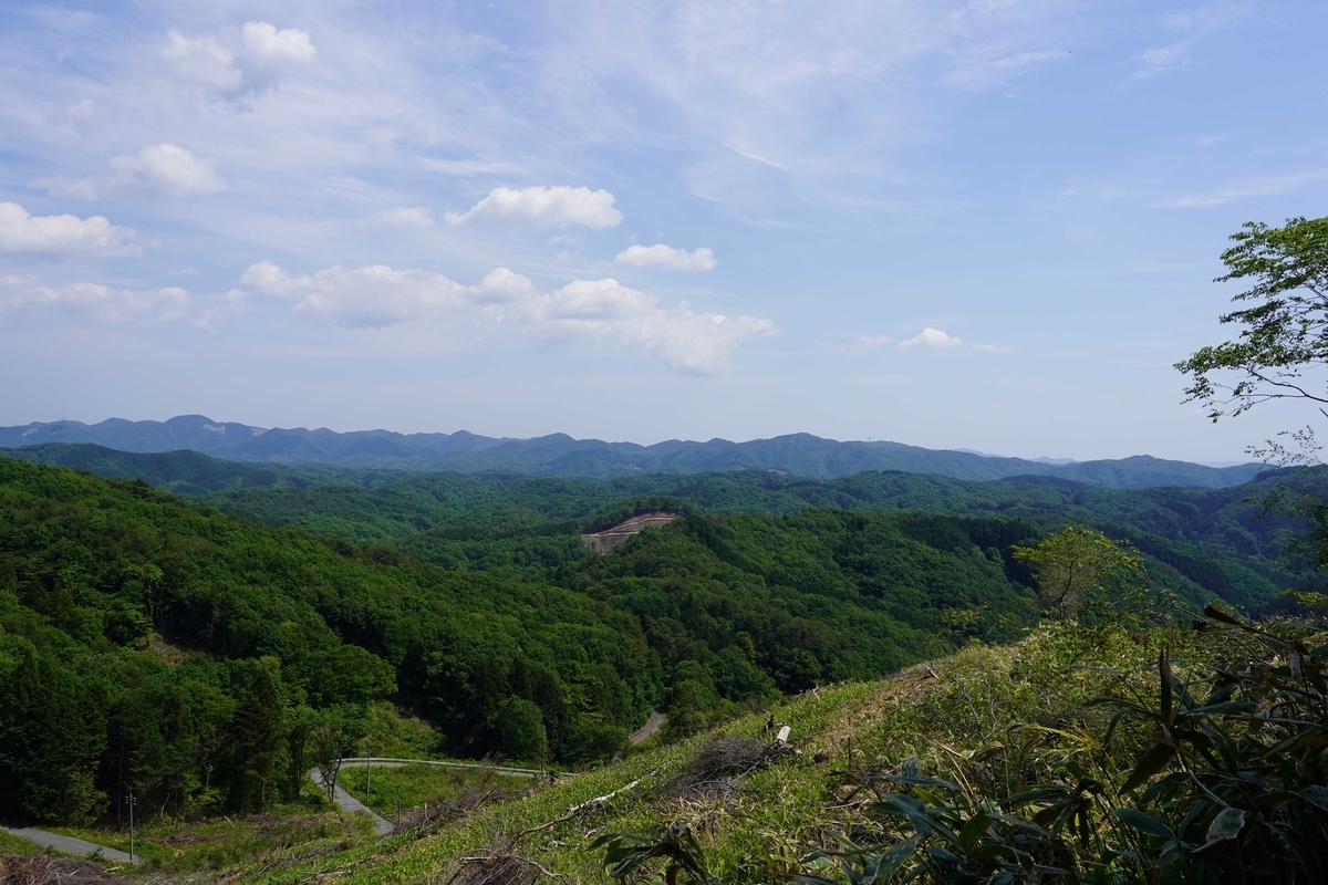 f:id:gansudegansu:20210527135139j:plain